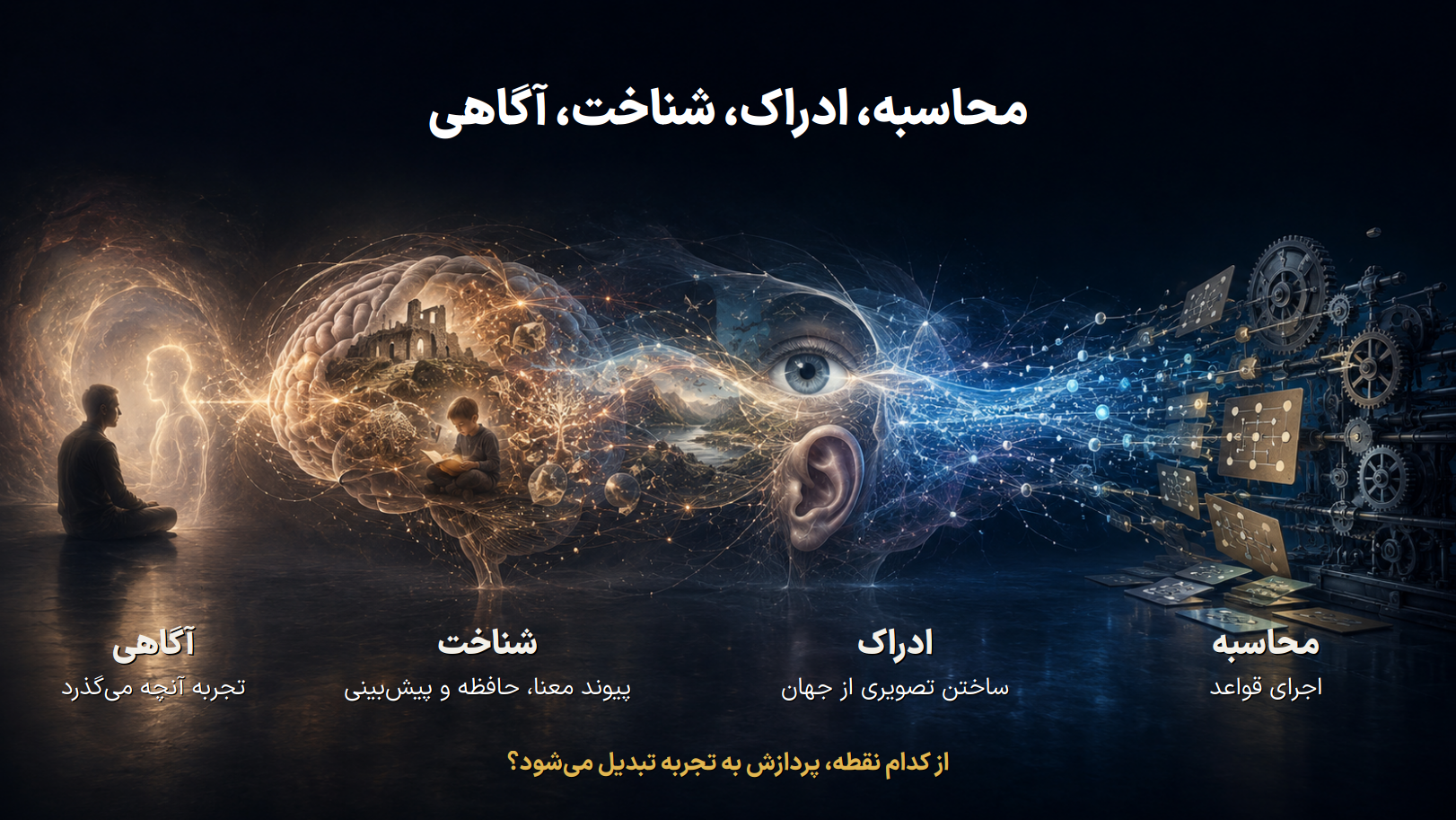 محاسبه، شناخت، ادراک، آگاهی
