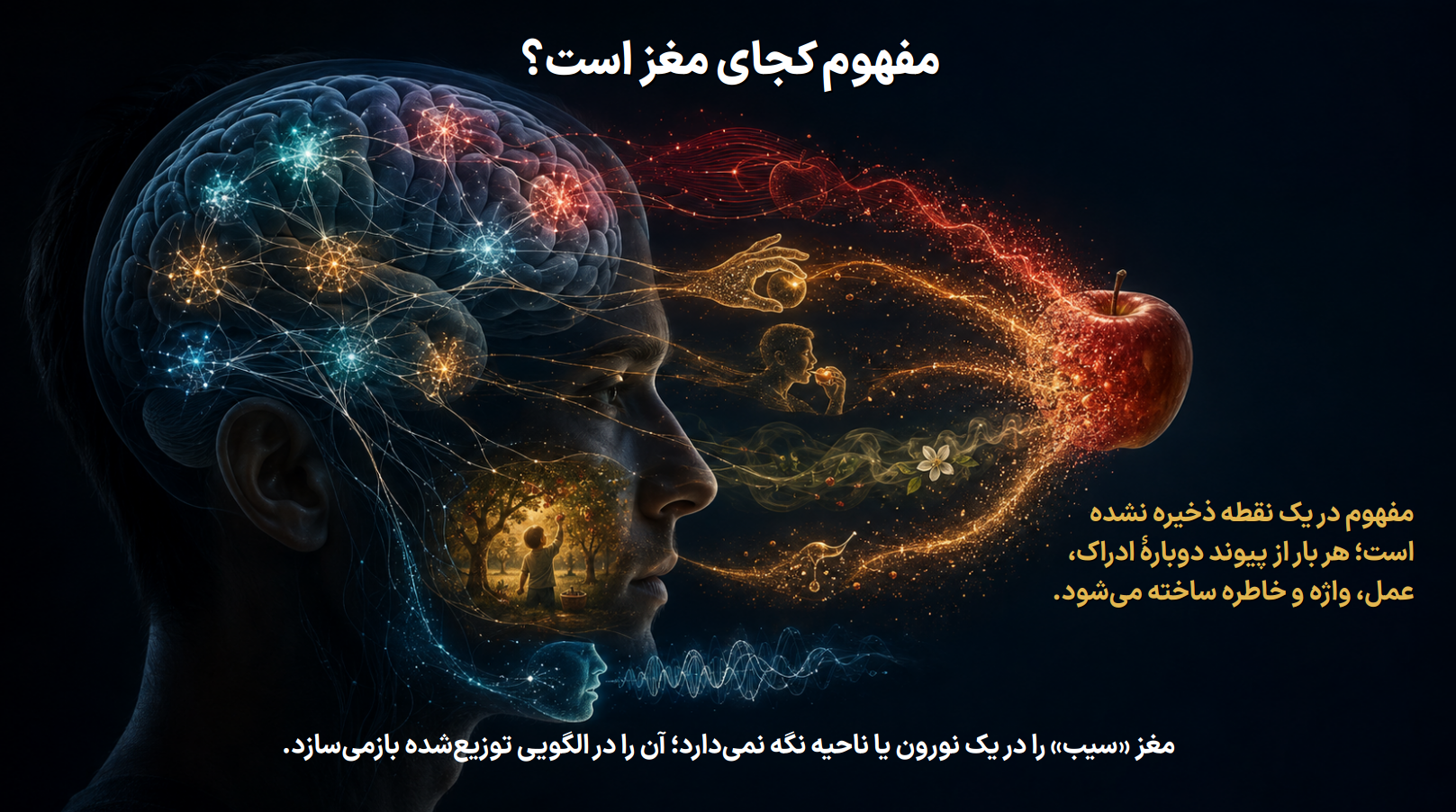 مفهوم کجای مغز است؟